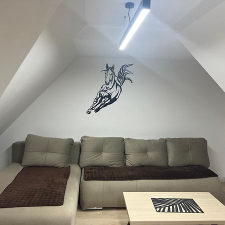 Family Apartmans Harry- Apartmans Of The Apart Hotel & Spa Zoned, Kopaonik - Special Benefit, Children Up To 13 Years Of Age Accompanied By Two Adults Stay For Free-Parking-Breakfast-Pool&Spa المظهر الخارجي الصورة